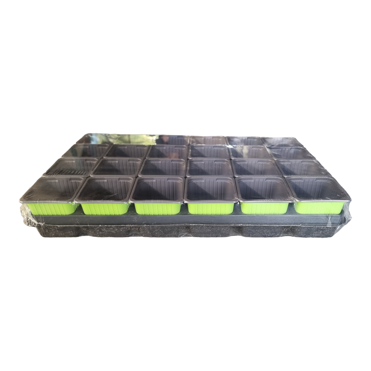 Carry Tray With Square Pots