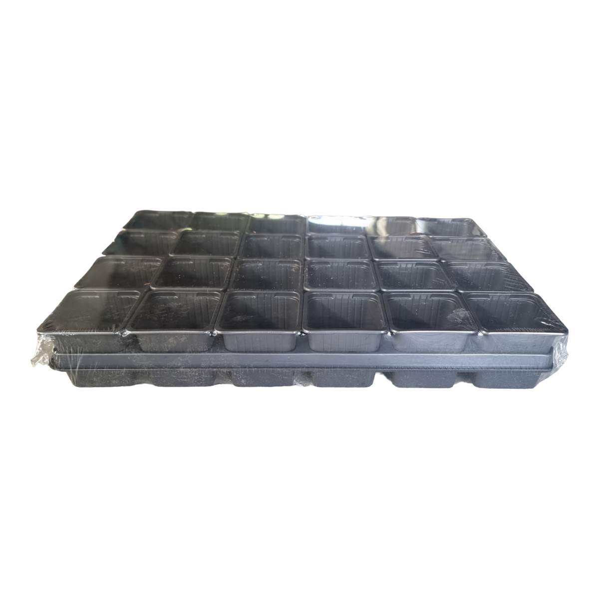 Carry Tray With Square Pots