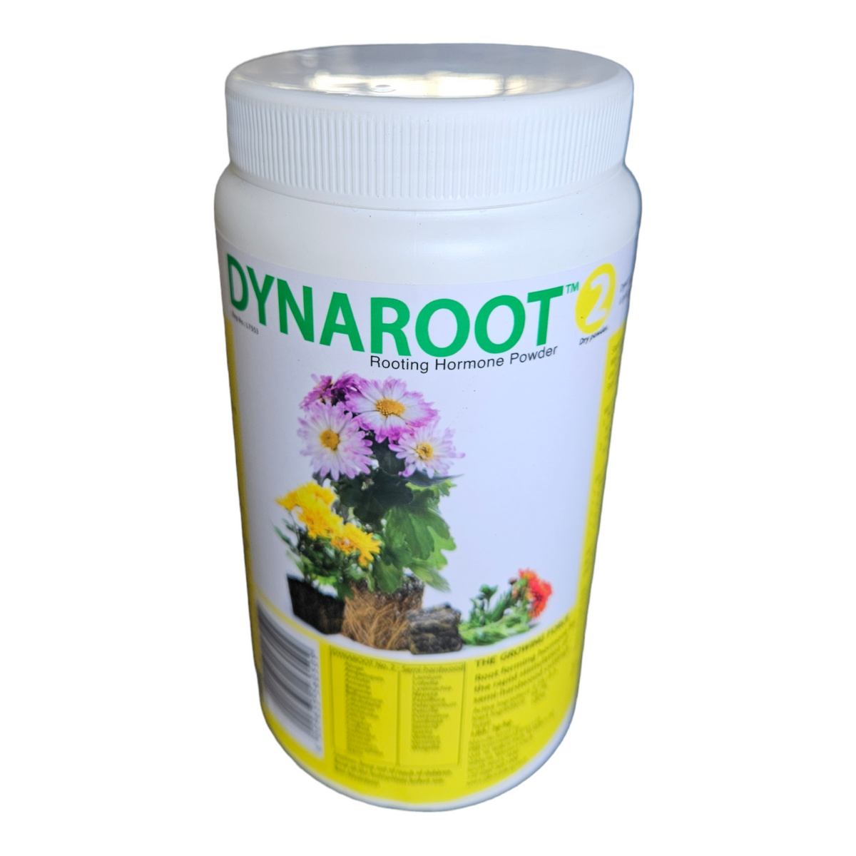 Dynaroot #2