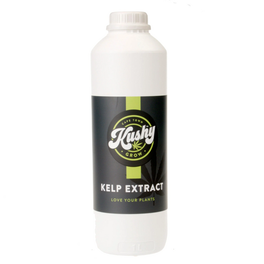 Kushy Kelp Extract