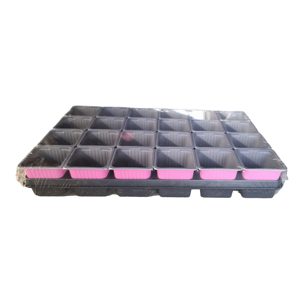 Carry Tray With Square Pots