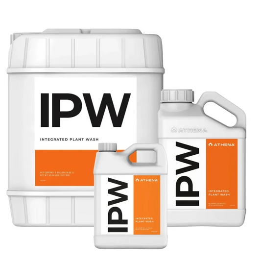 Athena IPW