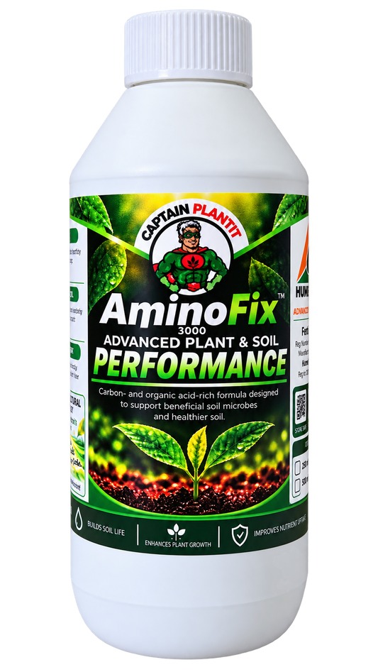 Amino Fix - 3000