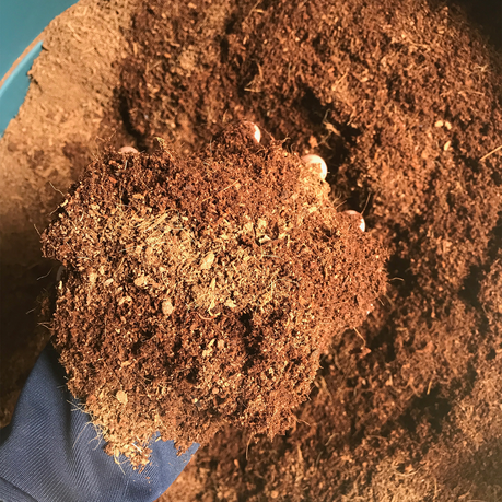 3 x 5kg Compressed Buffered Coco Peat Blocks