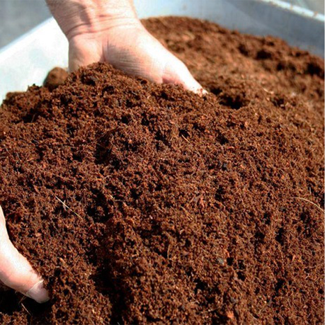 3 x 5kg Compressed Buffered Coco Peat Blocks
