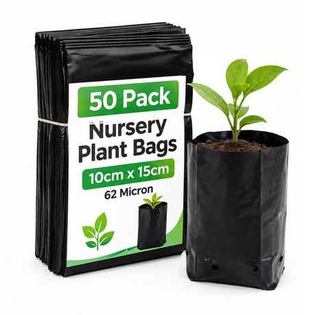 50 Pack Nursery Plant Bags 10cm x 15cm 62 Micron Black