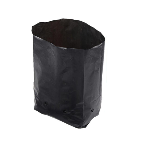 50 Pack Nursery Plant Bags 10cm x 15cm 62 Micron Black