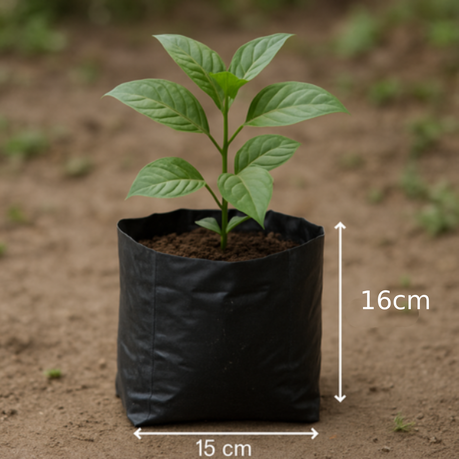 50-Pack Plant Grow Bags 2.5L Nursery Propagation 80 Micron